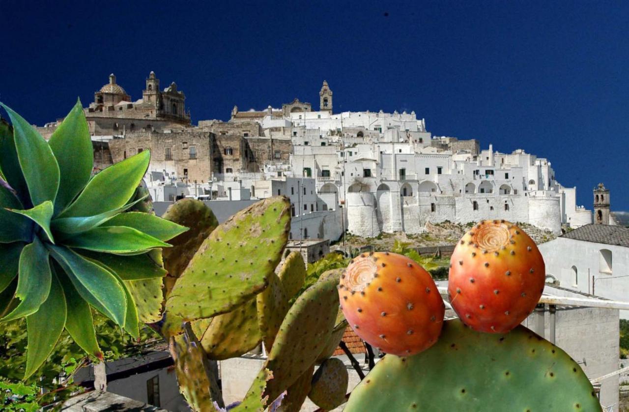 Agriturismo Salinola Ostuni Exterior foto