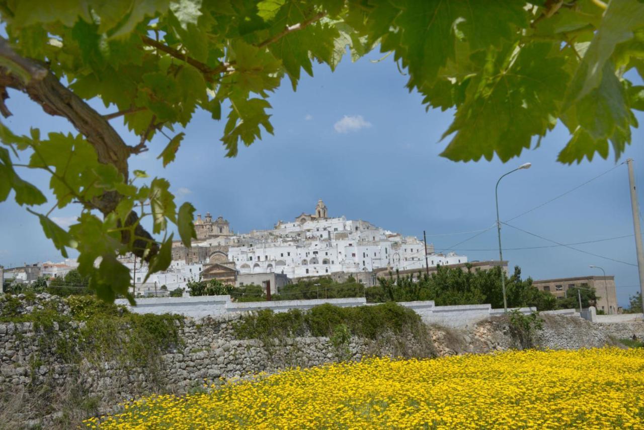 Agriturismo Salinola Ostuni Exterior foto